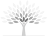 JMAA Foundation